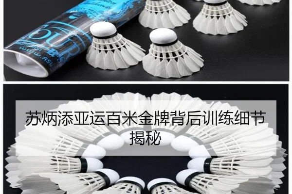 苏炳添亚运百米金牌背后训练细节揭秘